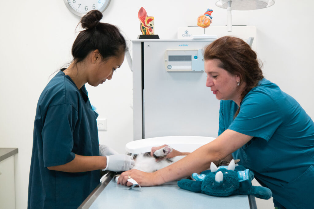 Dierenkliniek Thorbeckelaan Delft