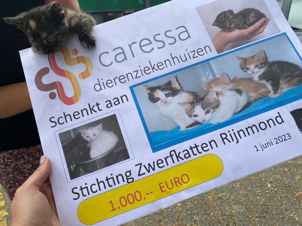 Caressa Rotterdam Stichting Zwerfkatten Rijnmond cheque